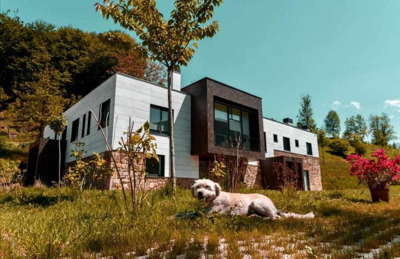 Apartmán Bergaretxe Geltokia Legazpia Exteriér fotografie